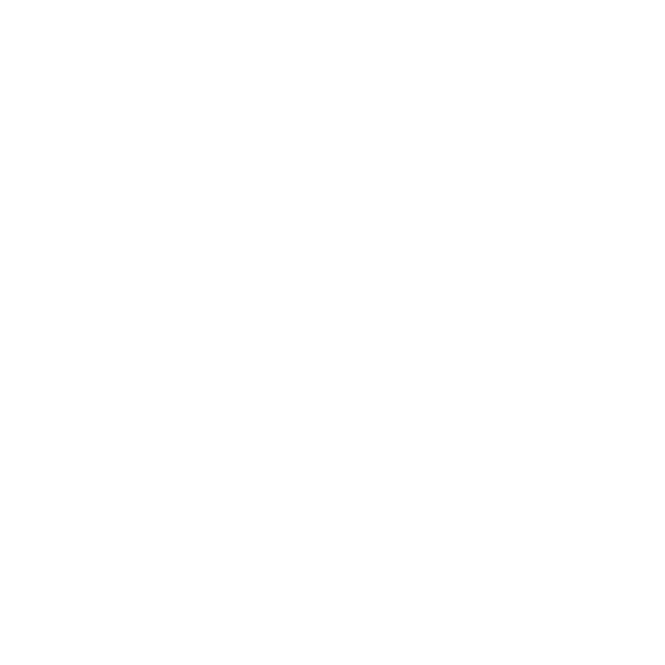Universitat de Girona